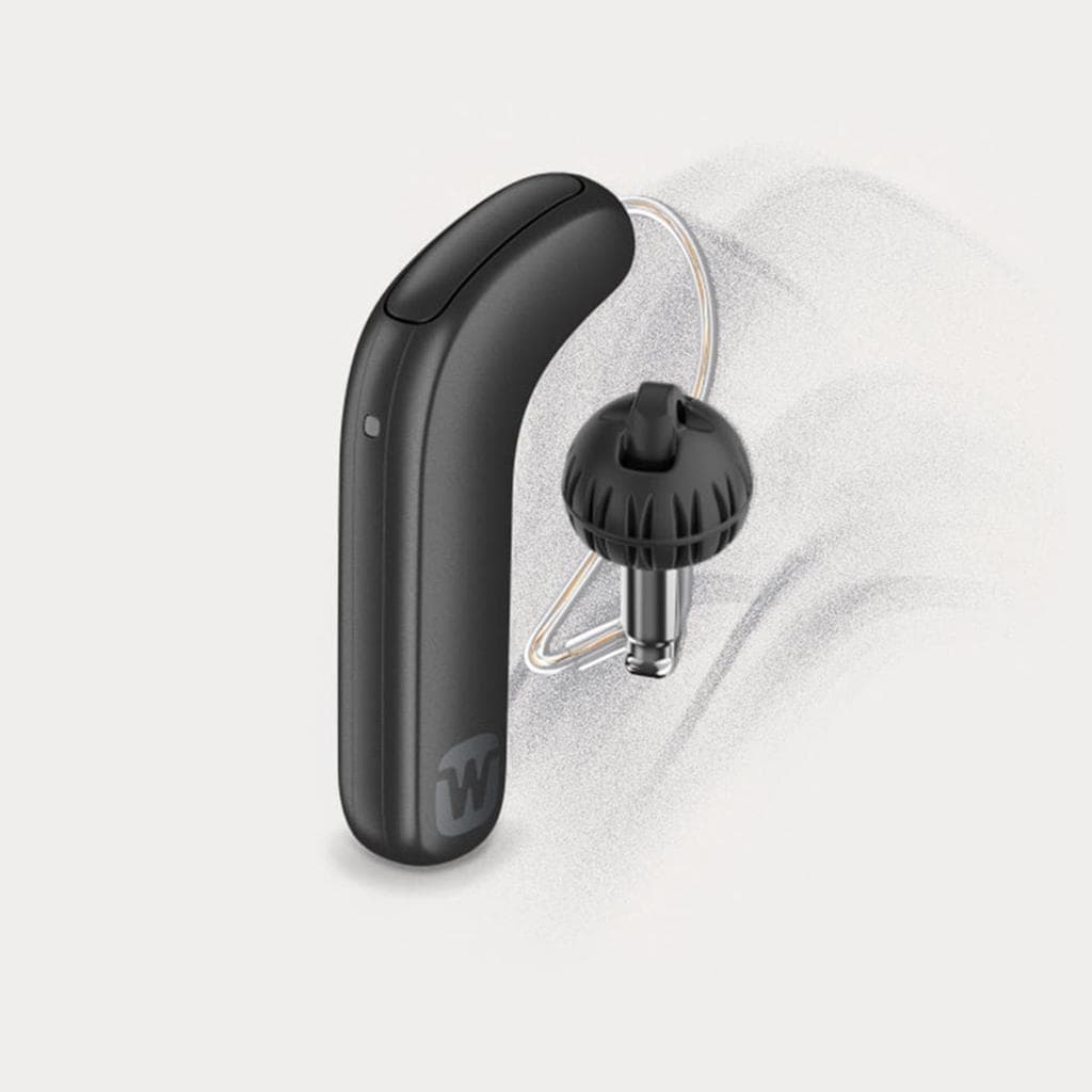 Widex SmartRIC